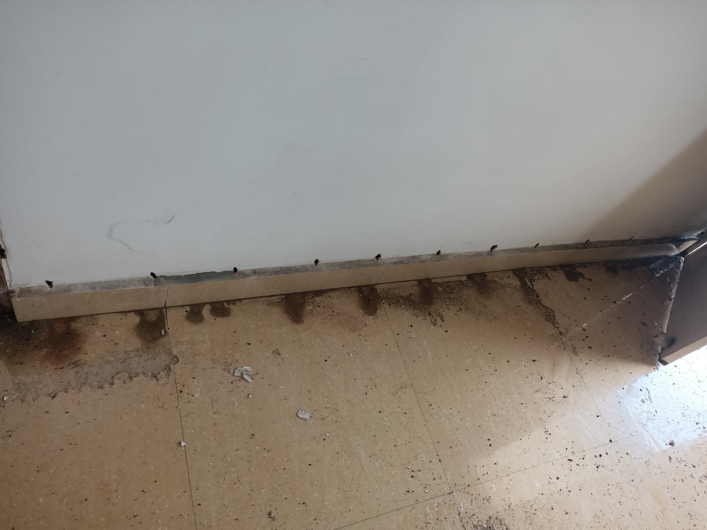 Post Construction