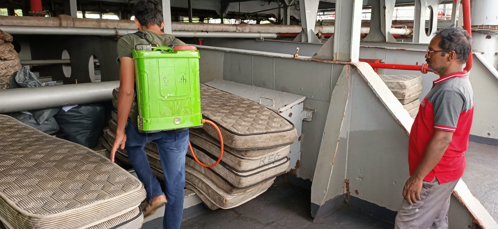 Bed Bugs Ship