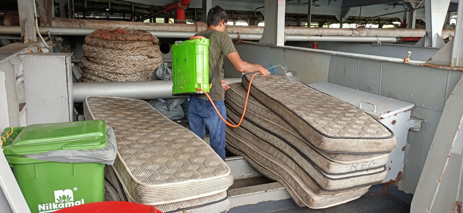 Bed Bugs Ship