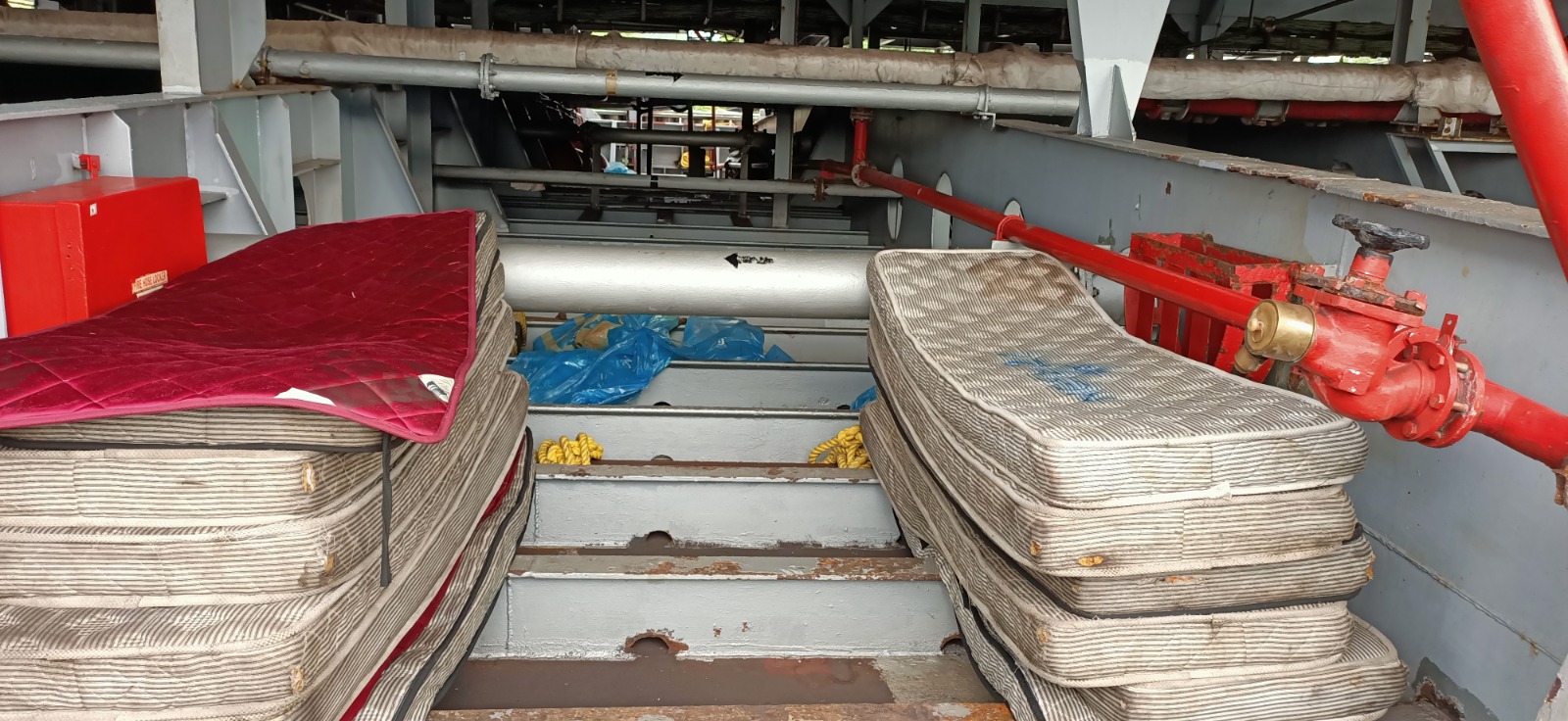 Bed Bugs Ship