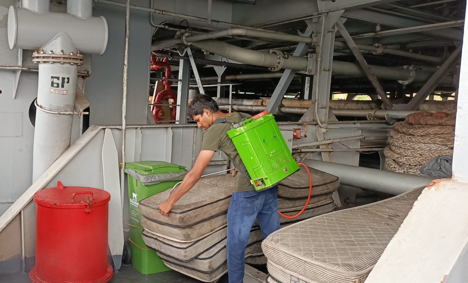 Bed Bugs Ship