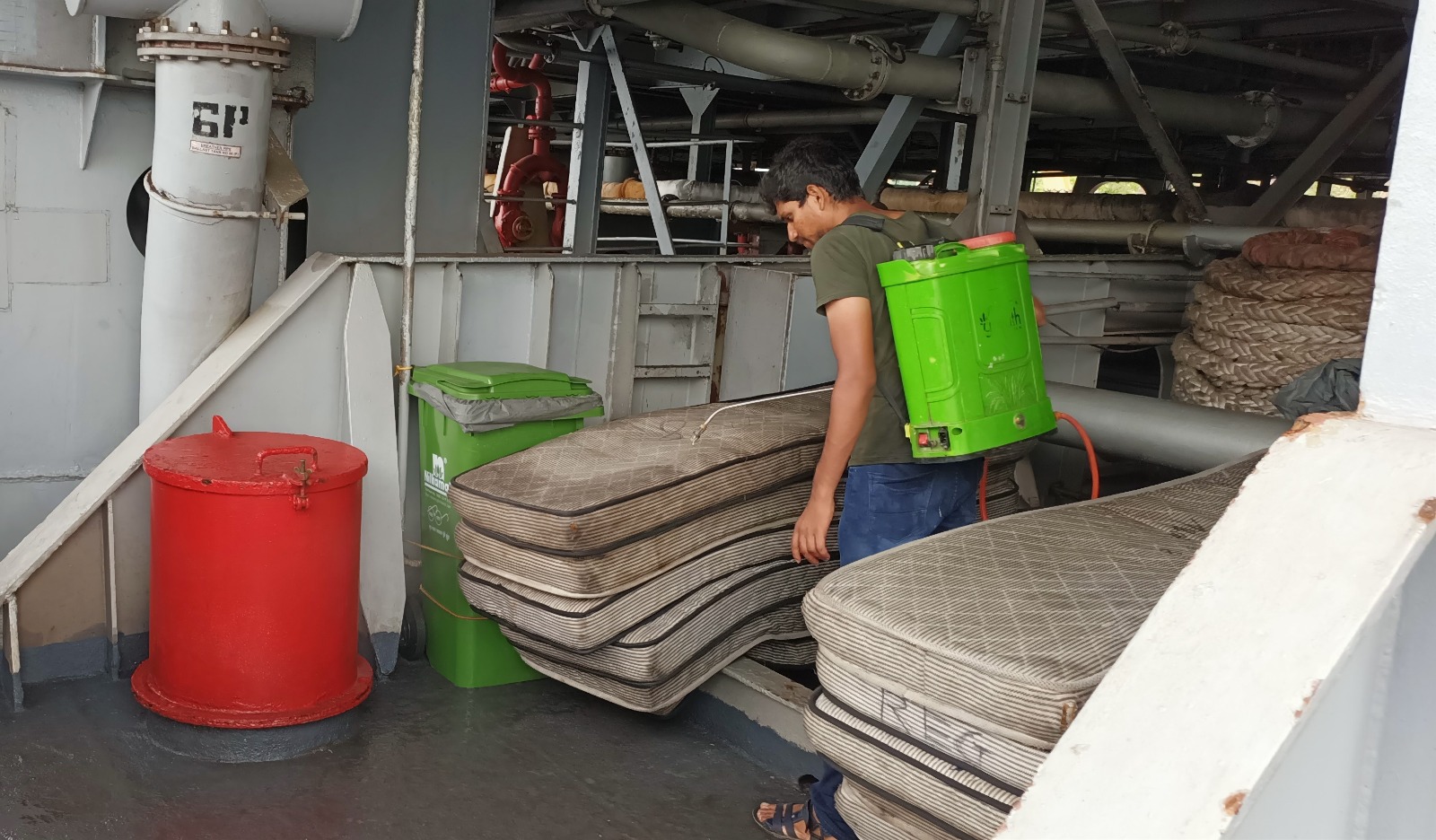 Bed Bugs Ship