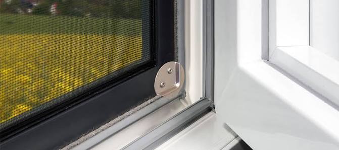 Window